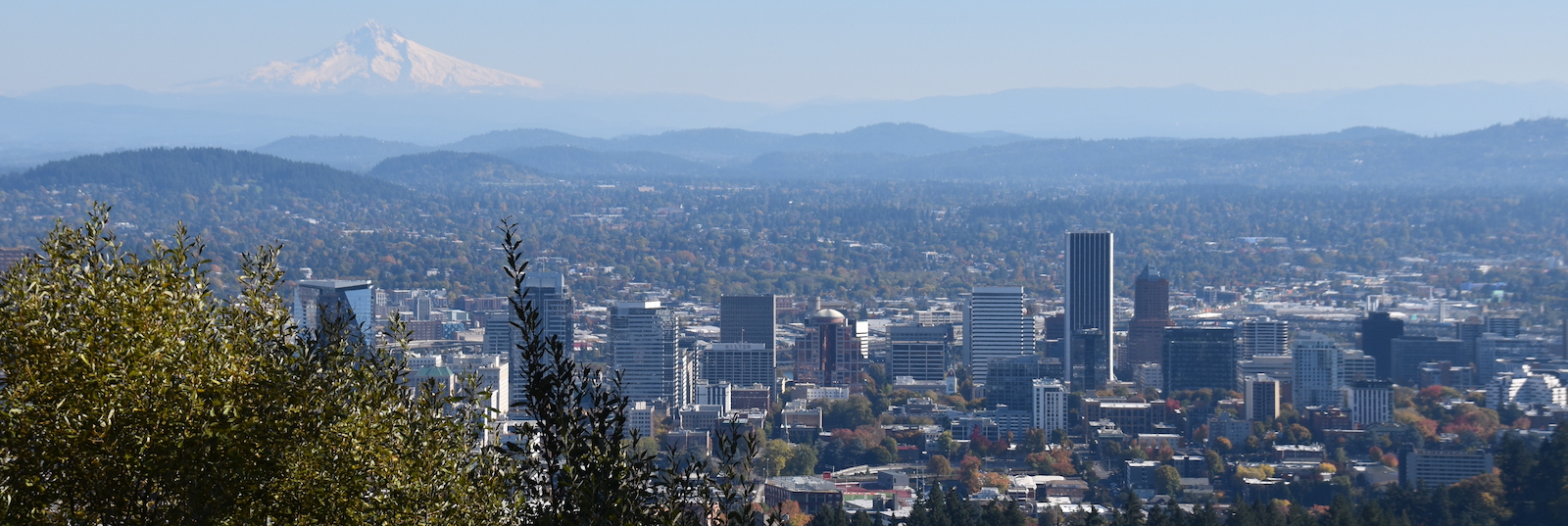 Portland Skyline